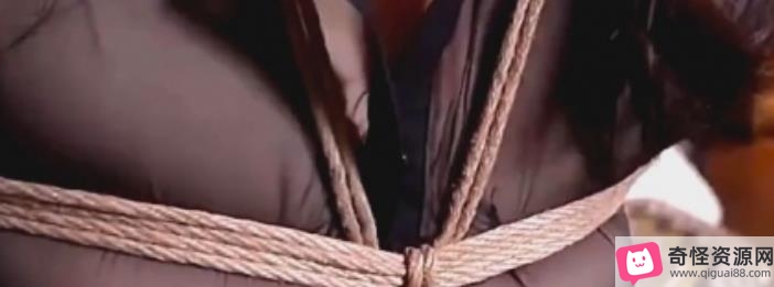 麻绳教育女仆视频截图
