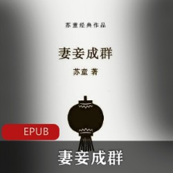 苏童经典小说推荐妻妾成群典藏版