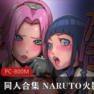 口味重日系同人游戏NARUTO火影忍者CG视频漫画COS